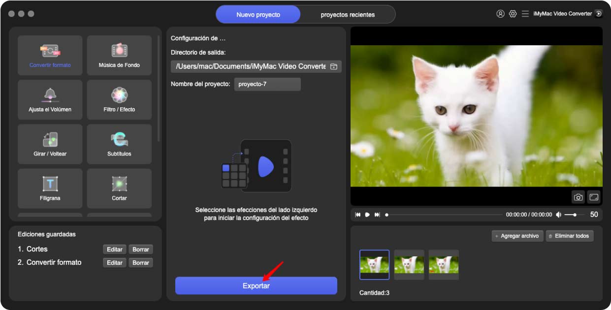 Convierta MKV a WEBM con iMyMac Video Converter