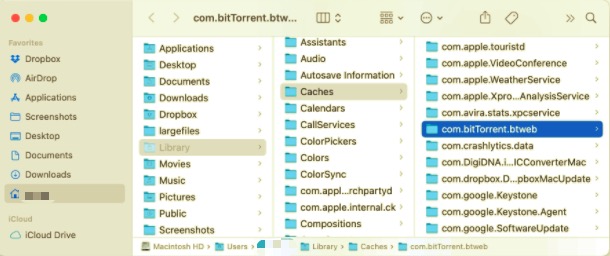 Desinstalar BitTorrent con todos los archivos relacionados