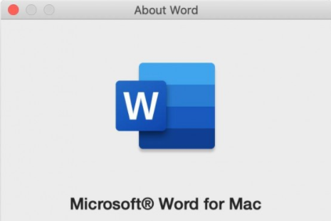 MS Word 2019