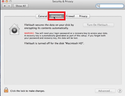 Haga clic en FileVault