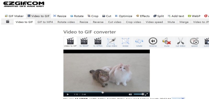 Convertidor de M4V a GIF en línea